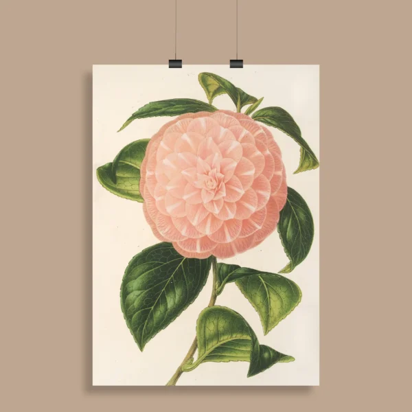 Vintage Botanical Wall Poster