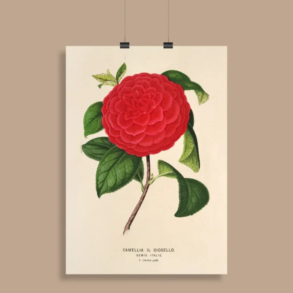 Vintage Botanical Wall Poster