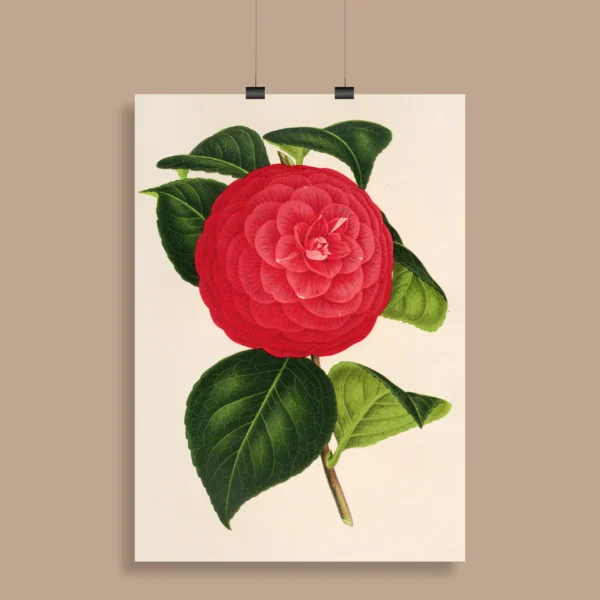 Vintage Botanical Wall Poster