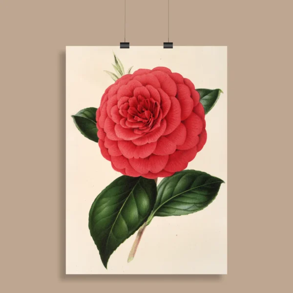 Vintage Botanical Wall Poster