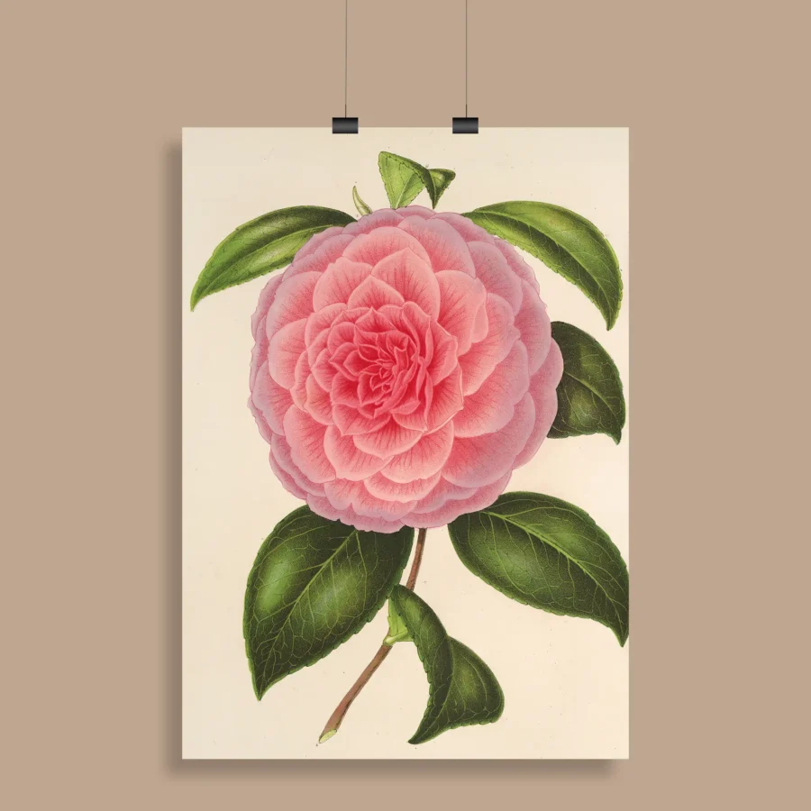 Vintage Botanical Wall Poster