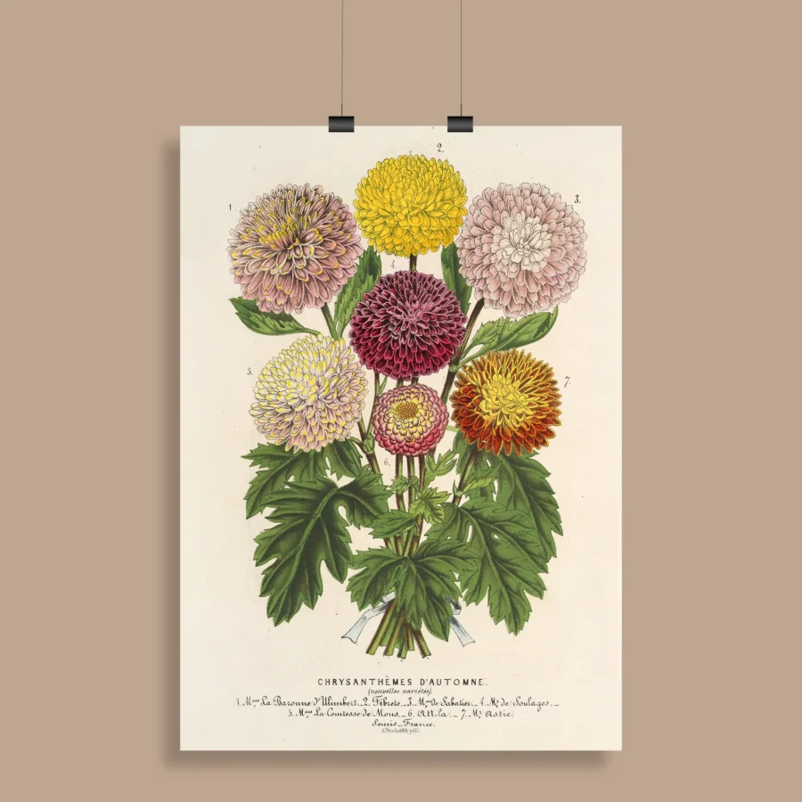 Vintage Botanical Wall Poster
