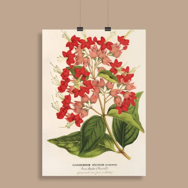 Vintage Botanical Wall Poster