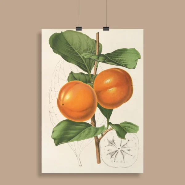 Vintage Botanical Wall Poster