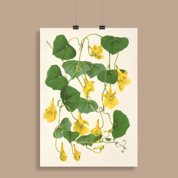 Vintage Botanical Wall Poster